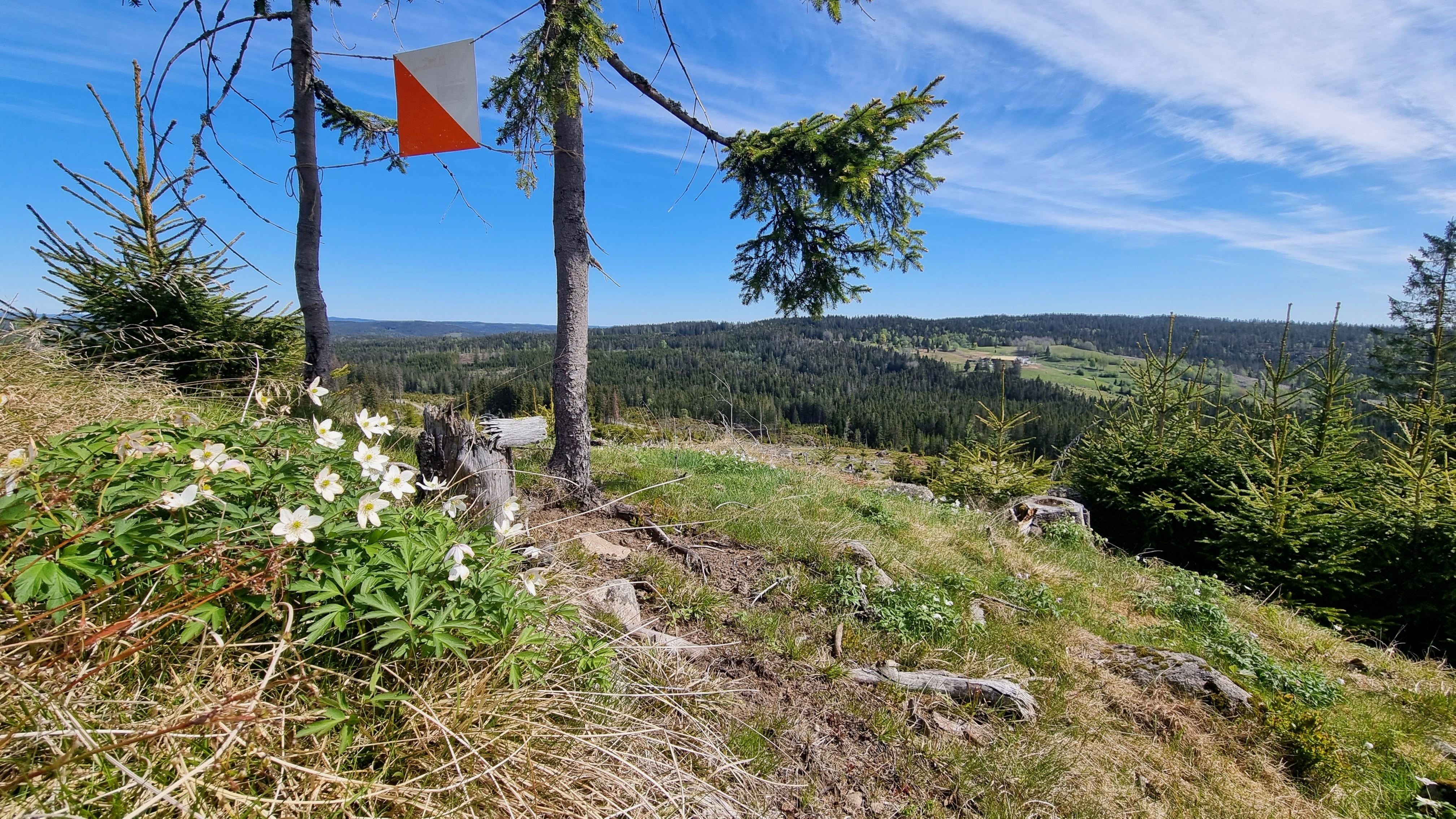 Postene på Bøåsen og Skaugumsåsen er klare!